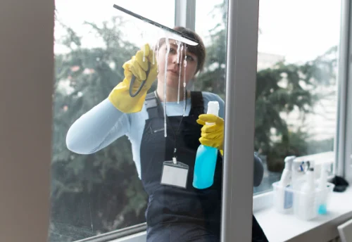 Nettoyage de vitres intérieures et extérieures à Castelnau d'Auzan Labarrère